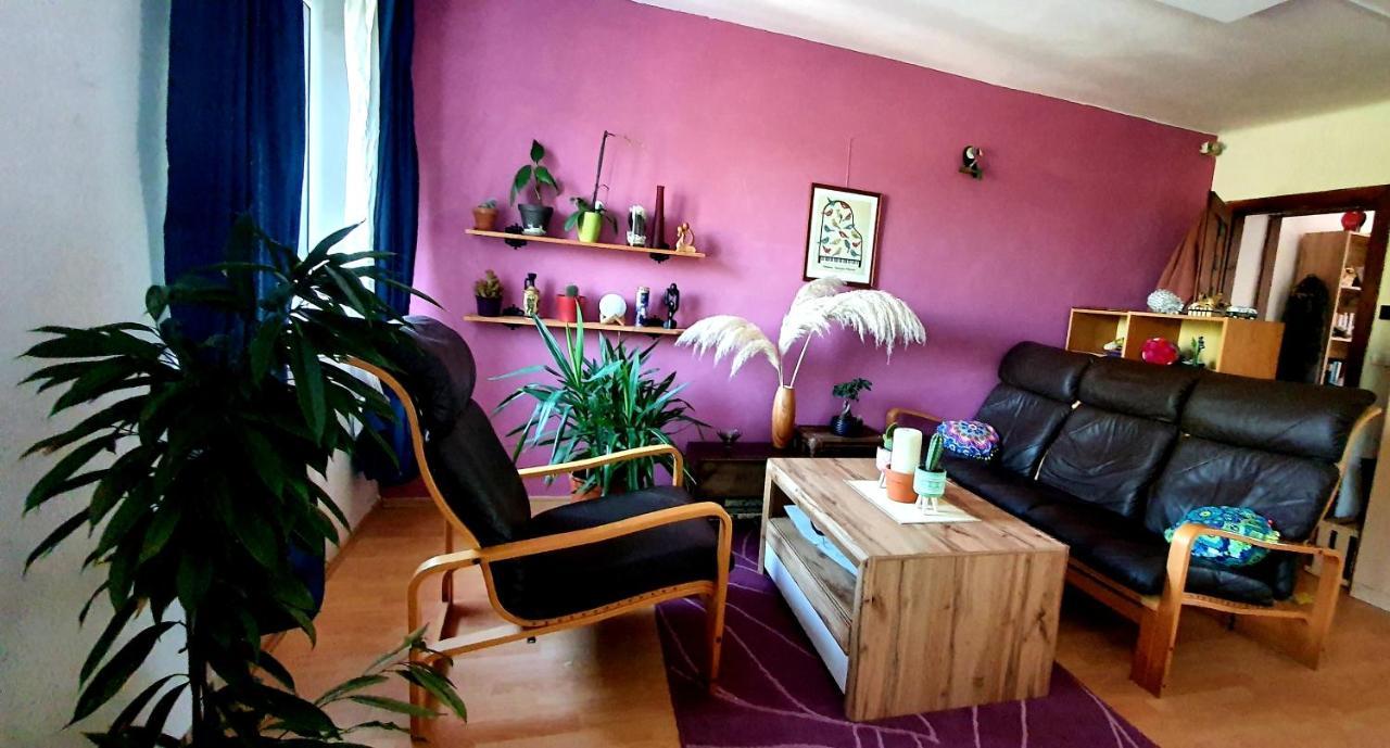 Apartament Entire House In The Heart Of Kozana Dobrovo Zewnętrze zdjęcie