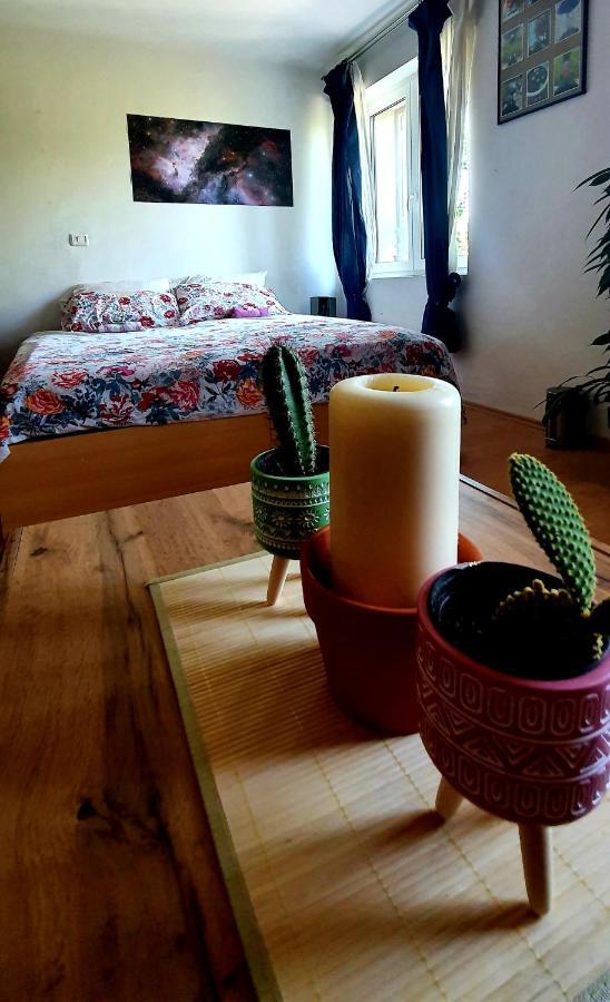 Apartament Entire House In The Heart Of Kozana Dobrovo Zewnętrze zdjęcie